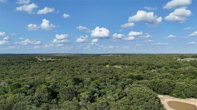 LOT 14 STALLION MEADOWS ESTATES, PERRIN, TX 76486 - Image 1