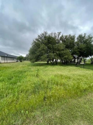 0000 FEATHER BAY DRIVE DRIVE, BROWNWOOD, TX 76801, photo 4 of 9
