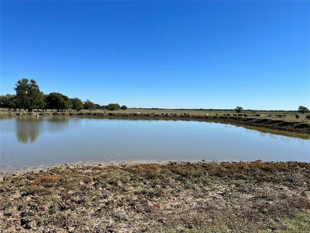 TRACT 5 COUNTY RD 2840, HONEY GROVE, TX 75446, photo 1 of 6