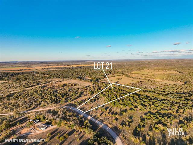 LOT 21 NEW HOPE COURT, SANTO, TX 76474, photo 1 of 38