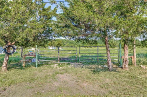 6638 COUNTY ROAD 4617, WOLFE CITY, TX 75496 - Image 1