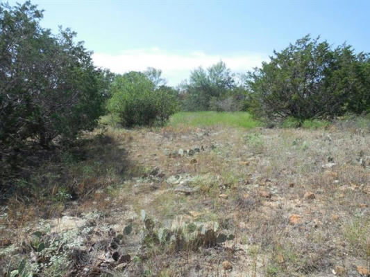 LOT 41 COUNTY ROAD 136, RANGER, TX 76470, photo 4 of 10