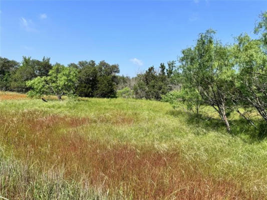 TBD LOT 59 COUNTY ROAD 600, BROWNWOOD, TX 76801, photo 3 of 18