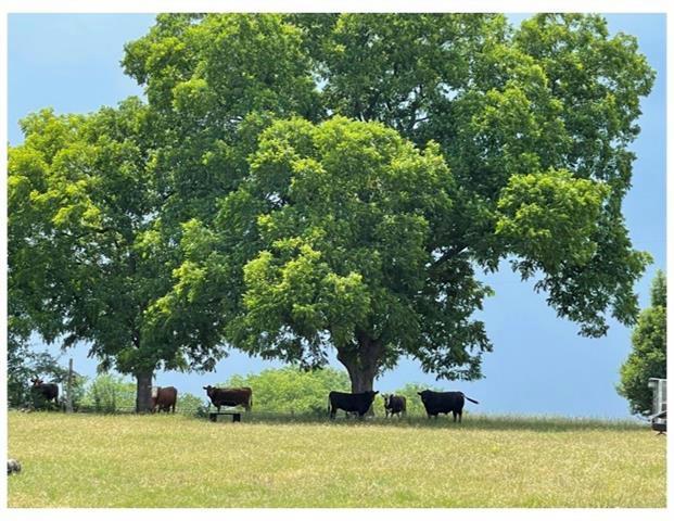 TBD SHAFFER ROAD, DENISON, TX 75021, photo 1 of 30