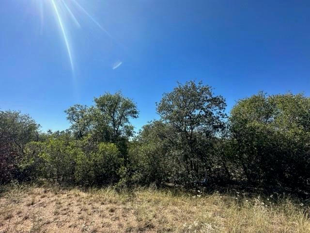 TBD LOT 3 PRIVATE ROAD 342, HAWLEY, TX 79525, photo 1 of 4