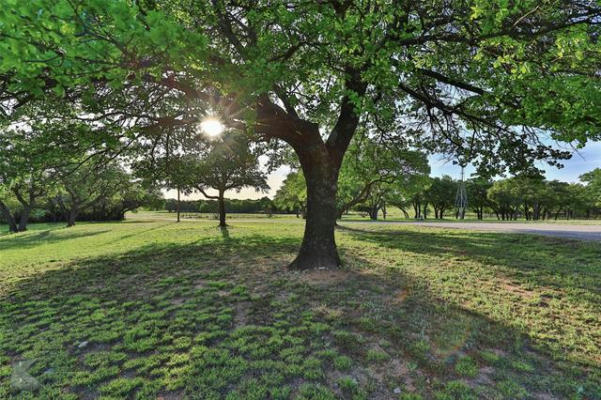 17494 COUNTY ROAD 225, CLYDE, TX 79510 - Image 1