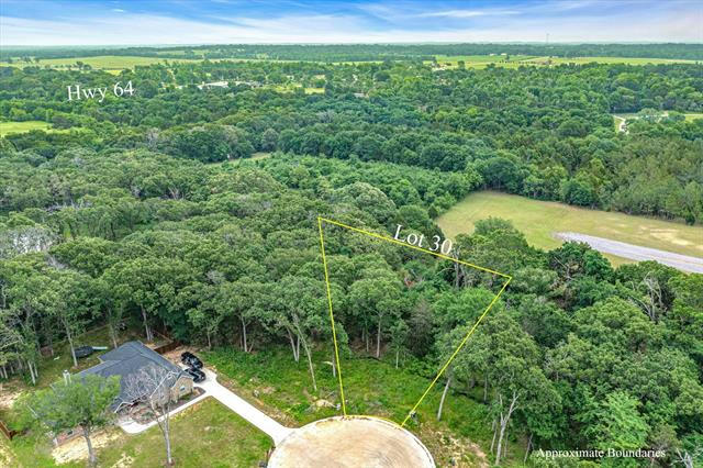TBD LOT 30 LAKEVIEW DRIVE, CANTON, TX 75103, photo 1 of 3