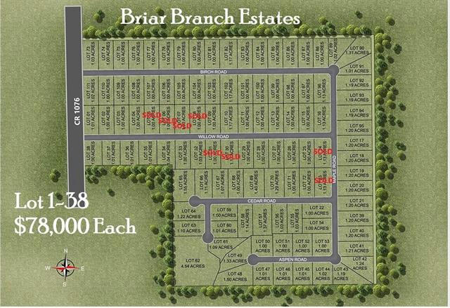 LOT 2 COUNTY RD 1076 ROAD, CELESTE, TX 75423, photo 1 of 32