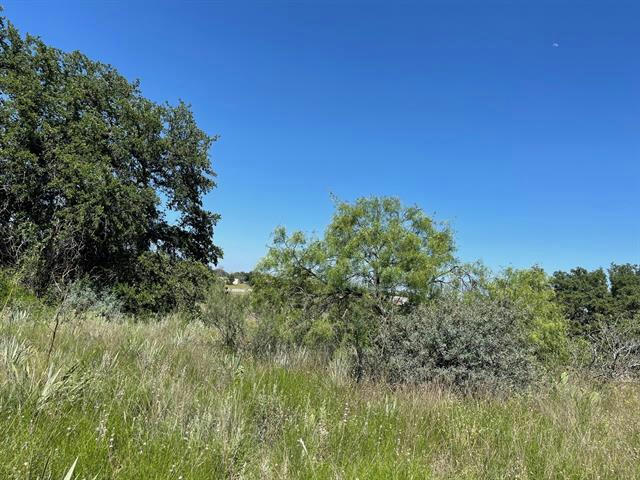 165 INDIAN MOUNTAIN TRL, BROWNWOOD, TX 76801, photo 1 of 3