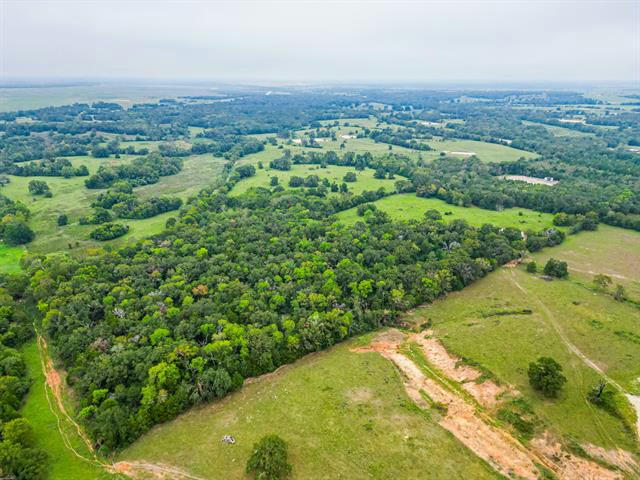 TBD CR 683 ROAD, TEAGUE, TX 75860, photo 1 of 25