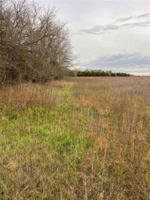 0 000 CR-4911 # LOT 1, LADONIA, TX 75449, photo 3 of 19