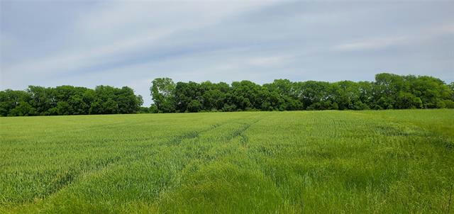 000 FANNIN ROAD, MELISSA, TX 75454, photo 1 of 13