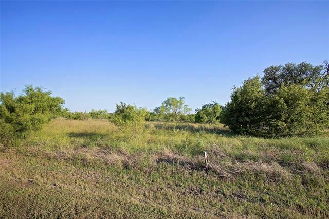 LOT 447 INDIGO BUSH COURT, GRAFORD, TX 76449, photo 1 of 18