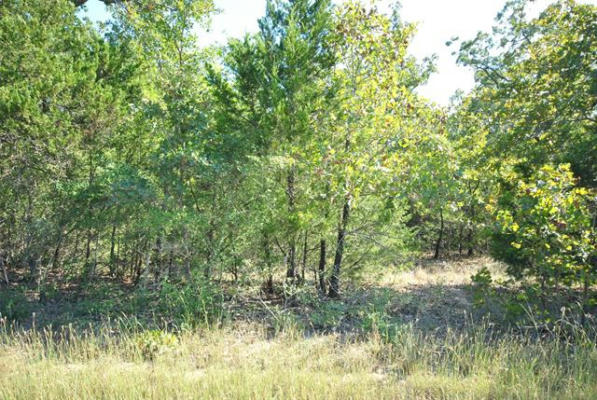 LOT 77 CR 910 DRIVE, JEWETT, TX 75846 - Image 1