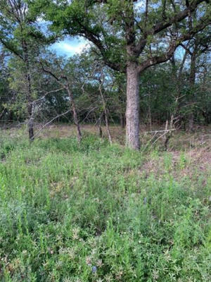 LOT 23 HAUSER PLACE, RUNAWAY BAY, TX 76426, photo 2 of 13