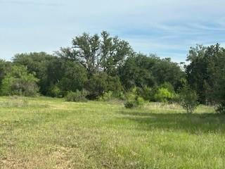 TBD MARK ALLAN AND OLD COMANCHE RD DRIVE, EARLY, TX 76802, photo 3 of 40