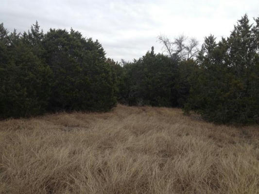 TBD COUNTY ROAD 142, NO CITY, TX 76528, photo 2 of 5