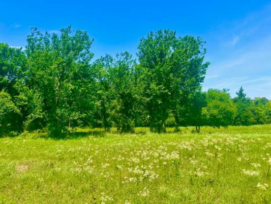 LOT 101 ARLOW RD, POOLVILLE, TX 76487, photo 3 of 18