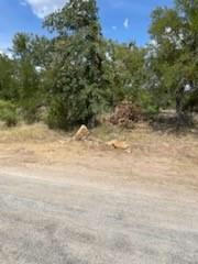 0000 JANDA LANE, BROWNWOOD, TX 76801, photo 1 of 5