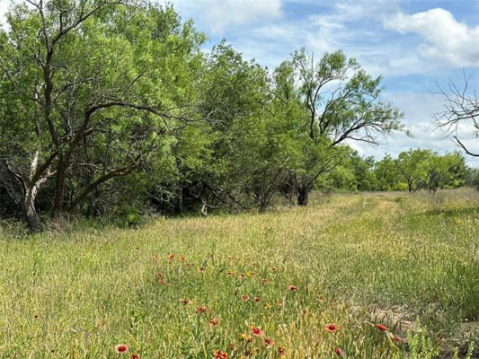 TRACT 15 CR 150, ABILENE, TX 79601, photo 3 of 10