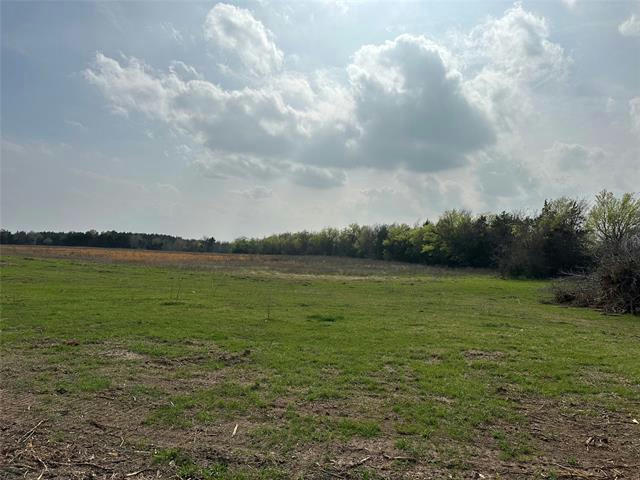 TBD-3 COUNTY ROAD 512, MEXIA, TX 76667, photo 1 of 10
