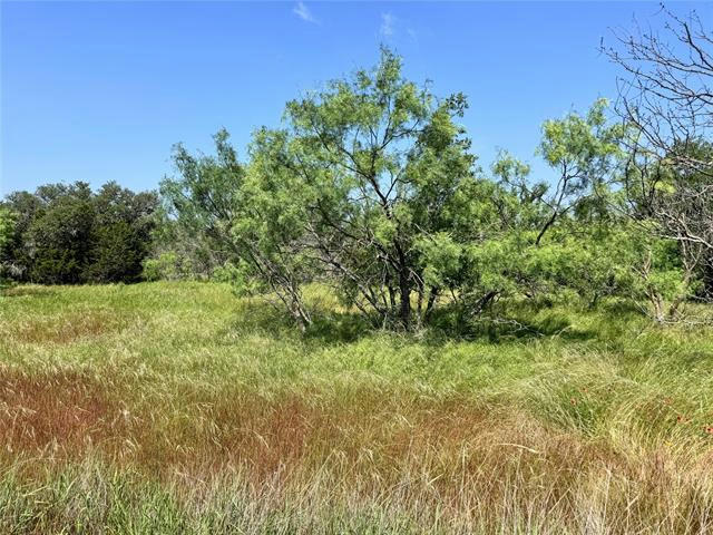 TBD LOT 59 COUNTY ROAD 600, BROWNWOOD, TX 76801, photo 1 of 18