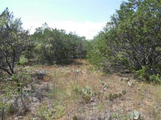 LOT 41 COUNTY ROAD 136, RANGER, TX 76470, photo 3 of 10