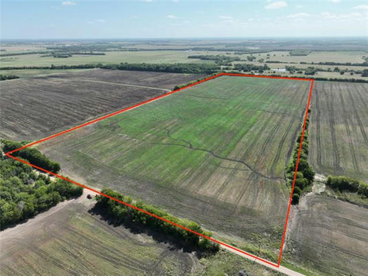 TBD COUNTY ROAD 26850, PETTY, TX 75470 - Image 1