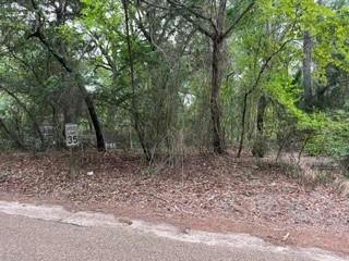 3606 COUNTY RD 3606, BROWNSBORO, TX 75756, photo 3 of 13