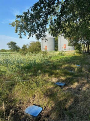 8069 COUNTY ROAD 623, FARMERSVILLE, TX 75442, photo 3 of 8