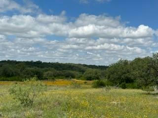 41 FM 2492 & CR 103, BROWNWOOD, TX 76801, photo 1 of 36