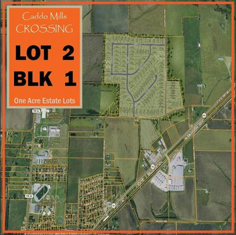 LOT 2 BLK 1 COUNTY ROAD 2162, CADDO MILLS, TX 75135, photo 1 of 13