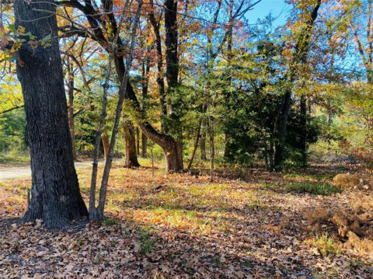 TBD 168 DEER VALLEY DRIVE, POWDERLY, TX 75473, photo 2 of 7