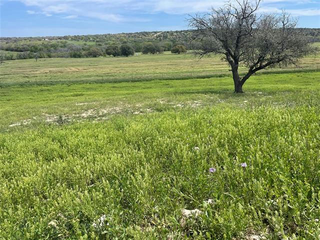 355 COUNTY ROAD 252, GUSTINE, TX 76455, photo 1 of 29