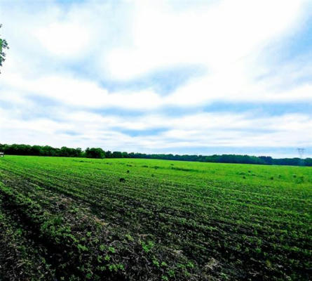 TBD CR 13600, PARIS, TX 75461 - Image 1