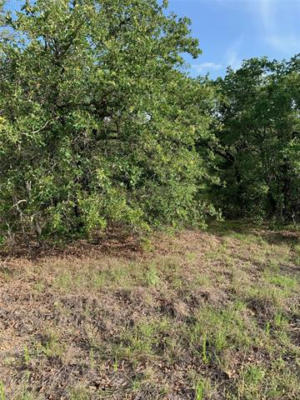 LOT 50 JIM WALTERS DRIVE, RUNAWAY BAY, TX 76426, photo 3 of 14