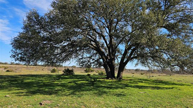 158 COUNTY ROAD 408, GOLDTHWAITE, TX 76844, photo 4 of 40