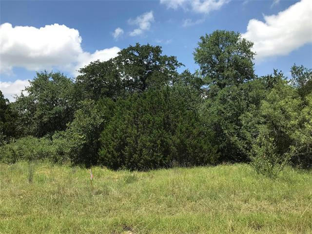 1190 N LAKEVIEW DR, PALO PINTO, TX 76484, photo 1 of 4