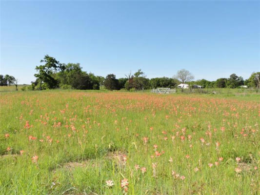 1829 VZ COUNTY ROAD 2311, MABANK, TX 75147, photo 3 of 18