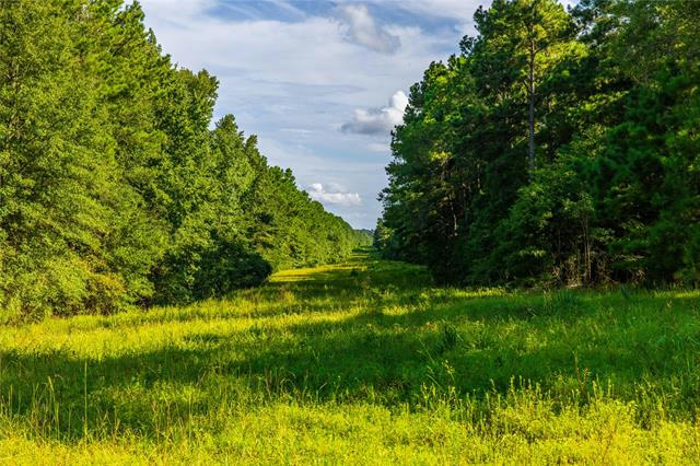 0 COUNTY ROAD 918, NACOGDOCHES, TX 75964, photo 1 of 20