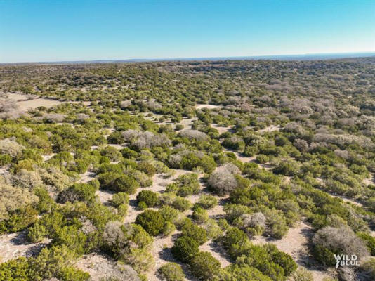 TRACT 8 COUNTY RD 140, OVALO, TX 79541, photo 2 of 6