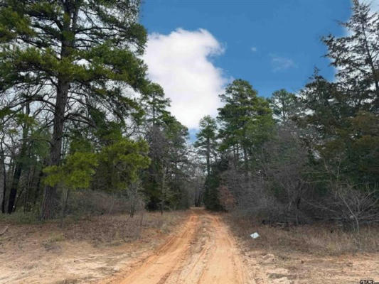 TBD KING BRUCE ROAD, SCROGGINS, TX 75480 - Image 1