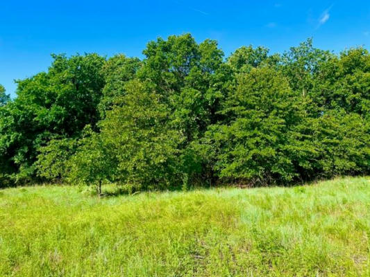 LOT 52 WICKLOW CT, POOLVILLE, TX 76487, photo 3 of 18