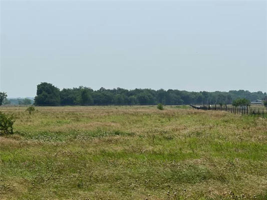 TBD COUNTY ROAD 347, WILLS POINT, TX 75169 - Image 1