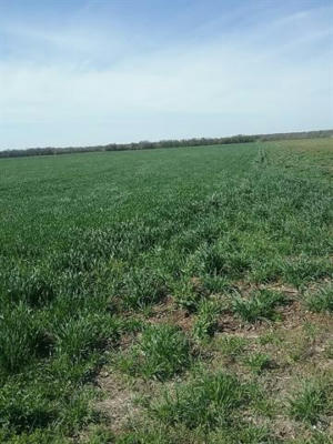 TBD DALE ACRES RD DALE ACRES ROAD, MILFORD, TX 76670, photo 2 of 2
