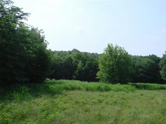 TBD COUNTY ROAD 402, GAINESVILLE, TX 76240, photo 1 of 29