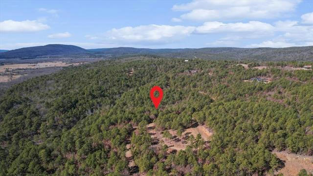 LOT 96 SADDLEGAP RANCH, TUSKAHOMA, OK 74571, photo 3 of 15