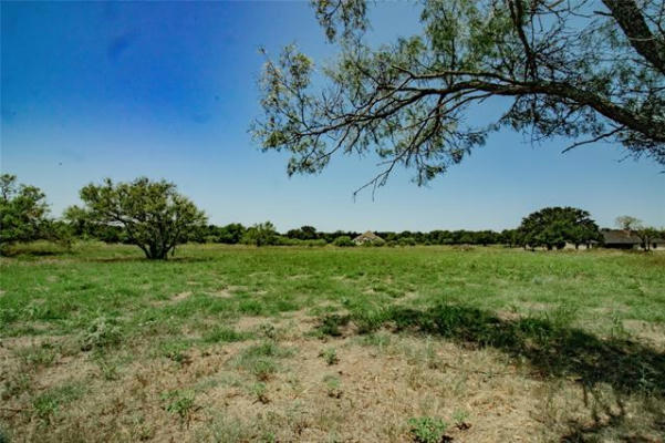 LOT 10 CORNERSTONE ROAD, POOLVILLE, TX 76487, photo 3 of 23