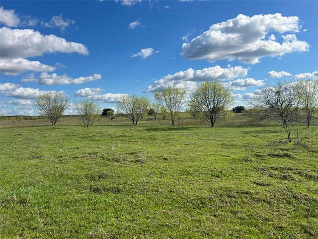 1271 NEW HOPE RD, PALO PINTO, TX 76484, photo 1 of 10