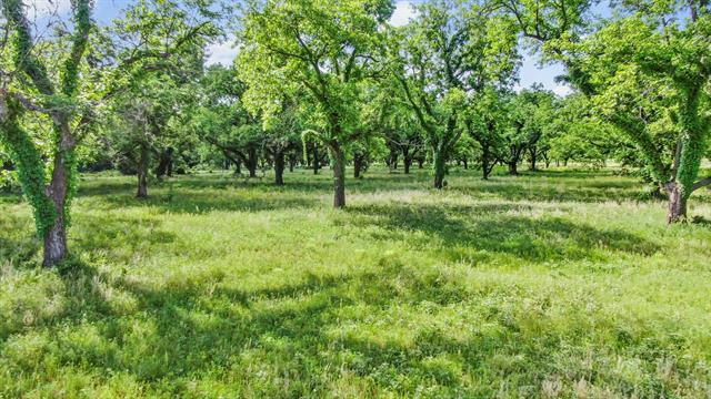 179 COUNTY ROAD 348, GORMAN, TX 76454, photo 2 of 15